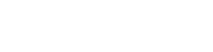 Z CAM