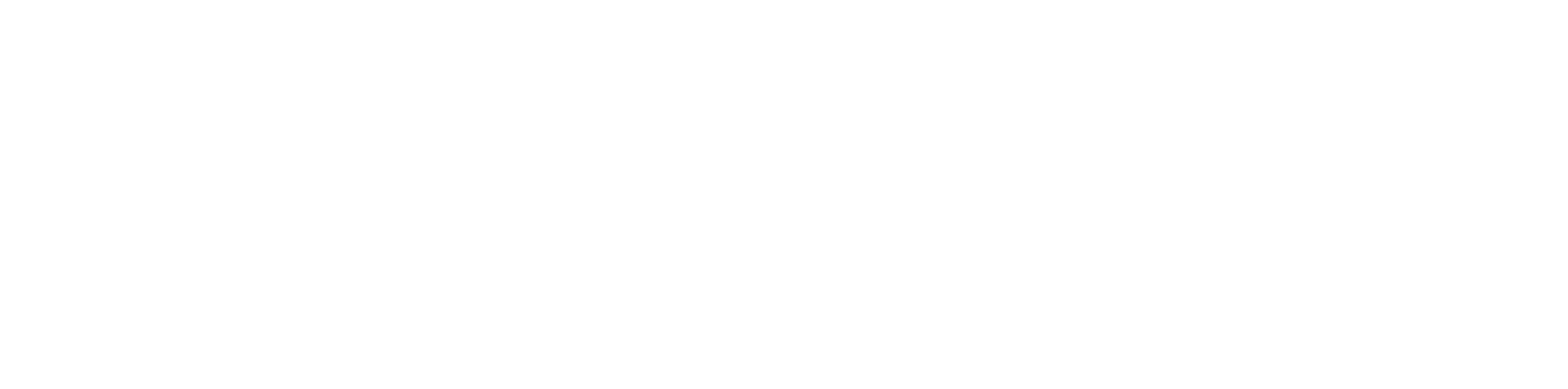Z CAM